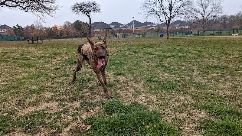 Wiggly Field Dog Park - Denton, TX