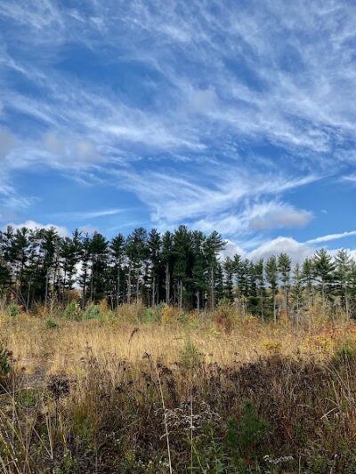 Jonathan's Woods - Denville, NJ