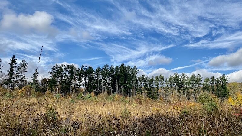 Jonathan's Woods - Denville, NJ