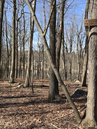 Jonathan's Woods - Denville, NJ