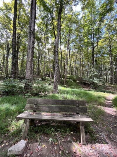 Jonathan's Woods - Denville, NJ