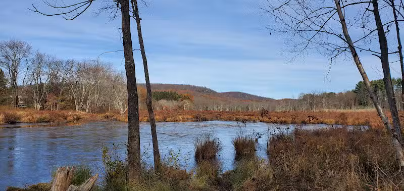 Jonathan's Woods - Denville, NJ