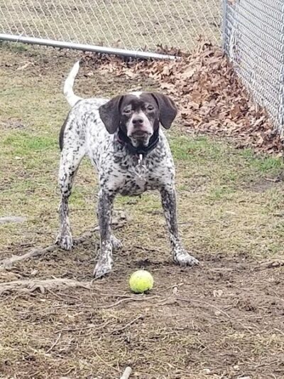 Derry Community Park - Derry, PA