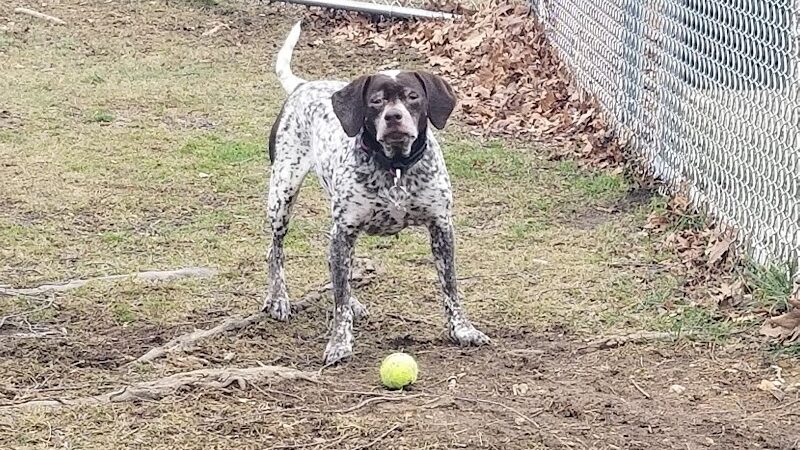 Derry Community Park - Derry, PA