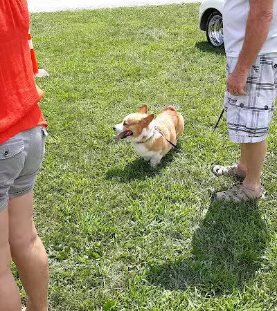 Derry Community Park - Derry, PA