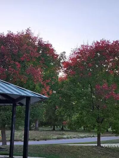 EASTTOWN PARK - Des Moines, IA