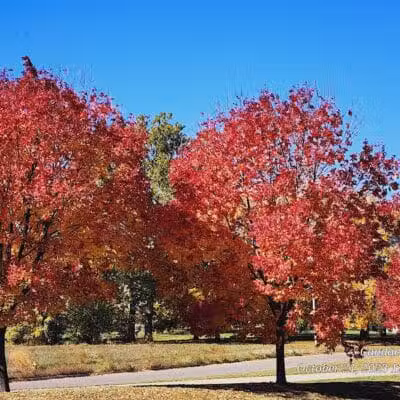 EASTTOWN PARK - Des Moines, IA