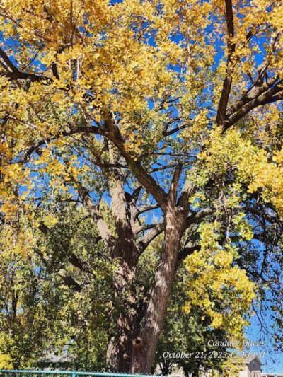 EASTTOWN PARK - Des Moines, IA