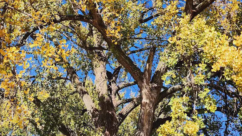 EASTTOWN PARK - Des Moines, IA