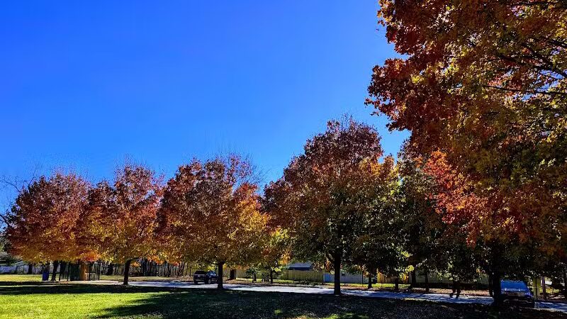 Riley Park - Des Moines, IA