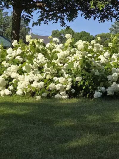 Riley Park - Des Moines, IA