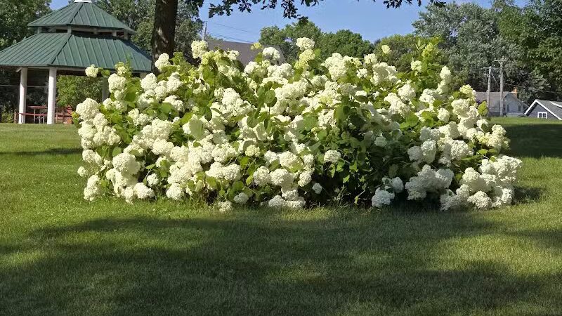 Riley Park - Des Moines, IA