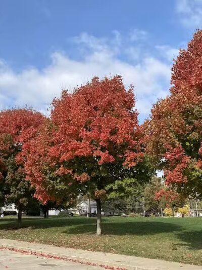 Riley Park - Des Moines, IA