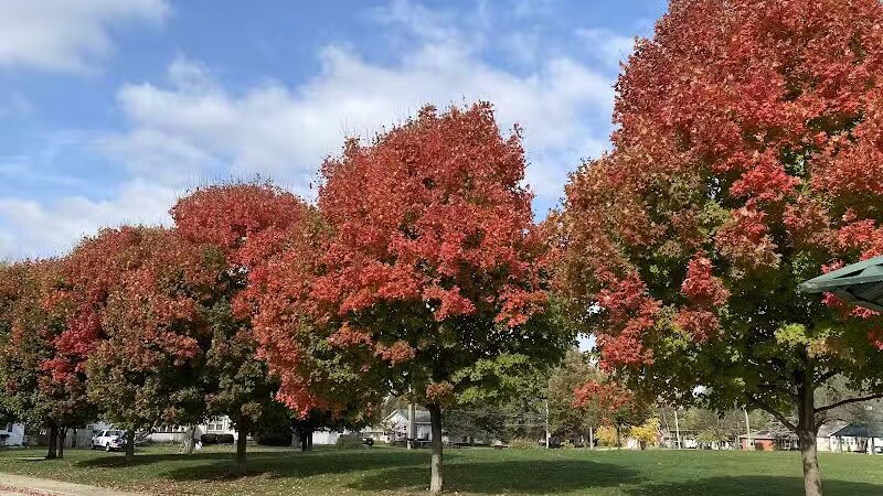 Riley Park - Des Moines, IA