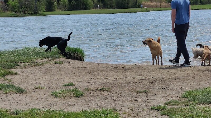 Beck Lake Dog Park - Des Plaines, IL