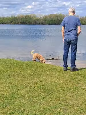 Beck Lake Dog Park - Des Plaines, IL