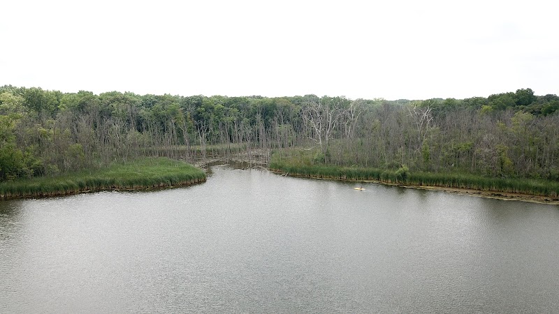 Beck Lake Dog Park - Des Plaines, IL
