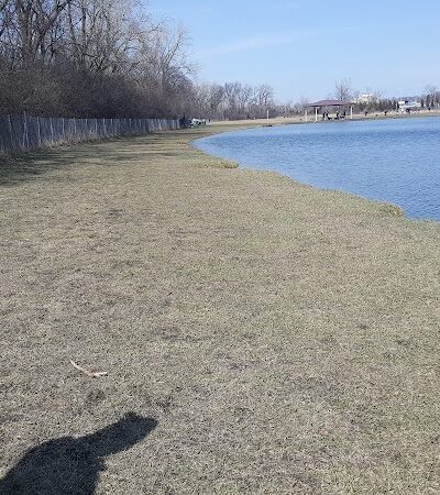 Beck Lake Dog Park - Des Plaines, IL