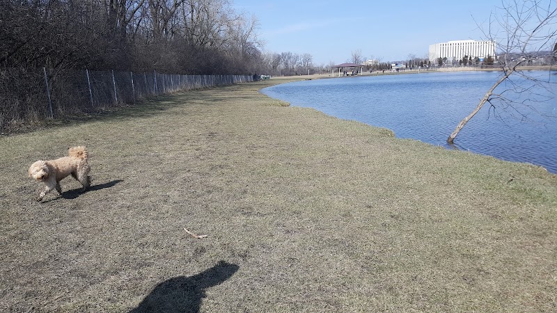 Beck Lake Dog Park - Des Plaines, IL