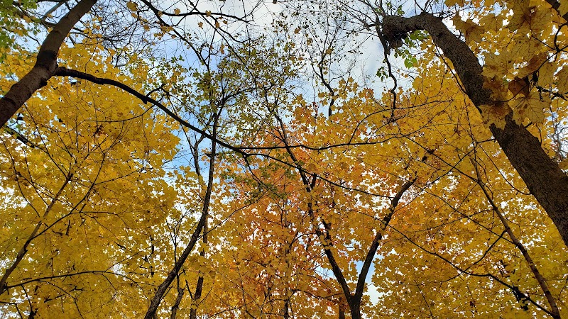 Beck Lake Dog Park - Des Plaines, IL
