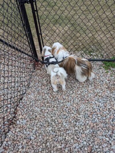Dog Park at Love’s Travel Stops - Dillon, SC