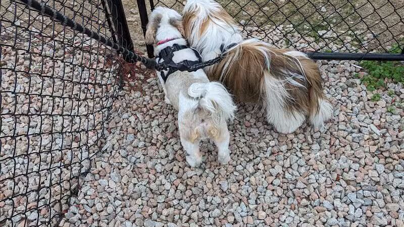 Dog Park at Love’s Travel Stops - Dillon, SC