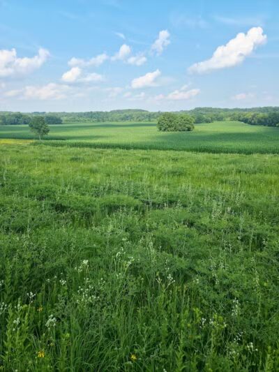 Meadows Park - Dixon, IL