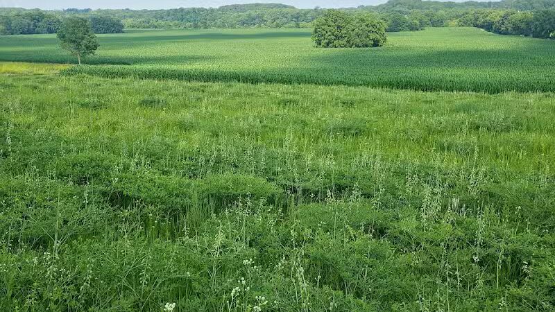 Meadows Park - Dixon, IL