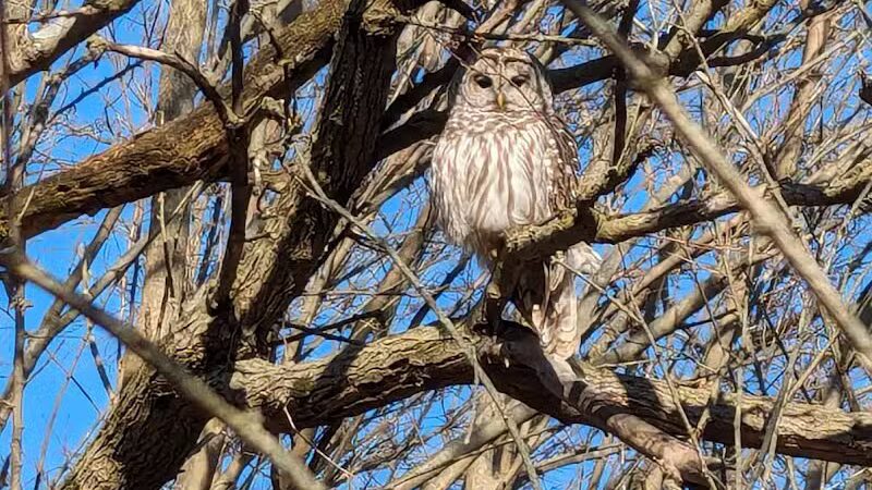Meadows Park - Dixon, IL
