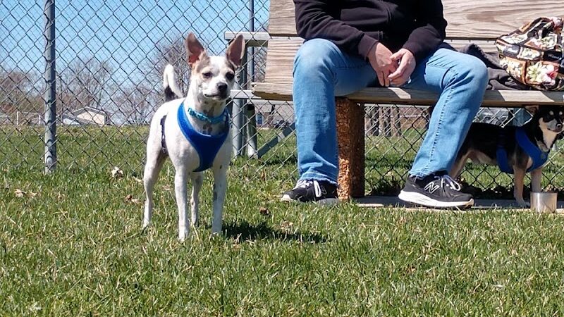 Park 4 Paws - Dixon, IL