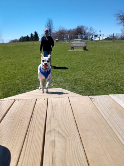 Park 4 Paws - Dixon, IL