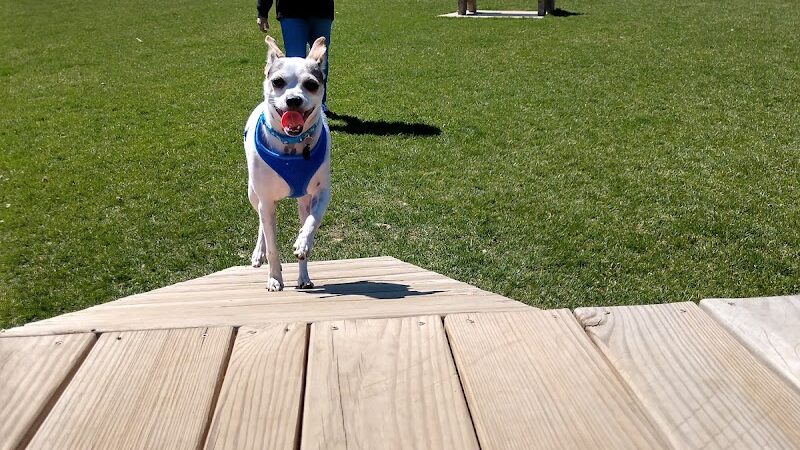 Park 4 Paws - Dixon, IL