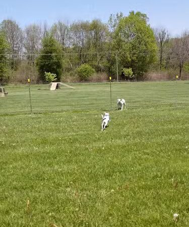 Park 4 Paws - Dixon, IL