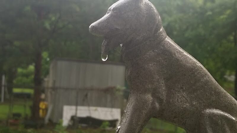 Ramsey Park - Dothan, AL