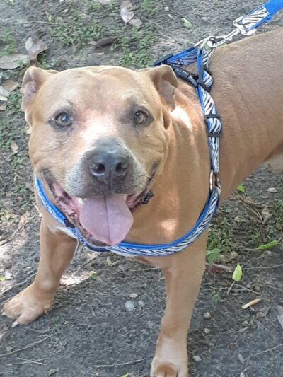 Ramsey Park - Dothan, AL