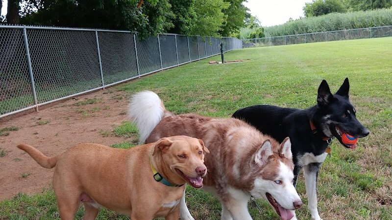 Little Creek Dog Park - Dover, DE