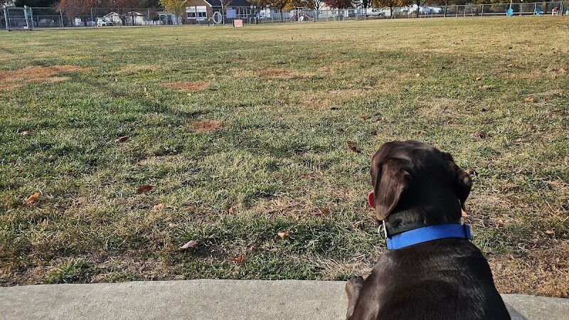 Little Creek Dog Park - Dover, DE