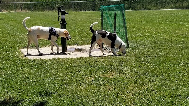 Little Creek Dog Park - Dover, DE