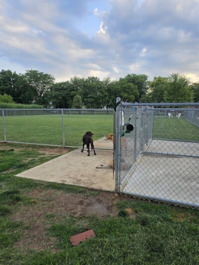 Little Creek Dog Park - Dover, DE