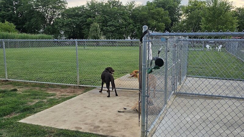 Little Creek Dog Park - Dover, DE