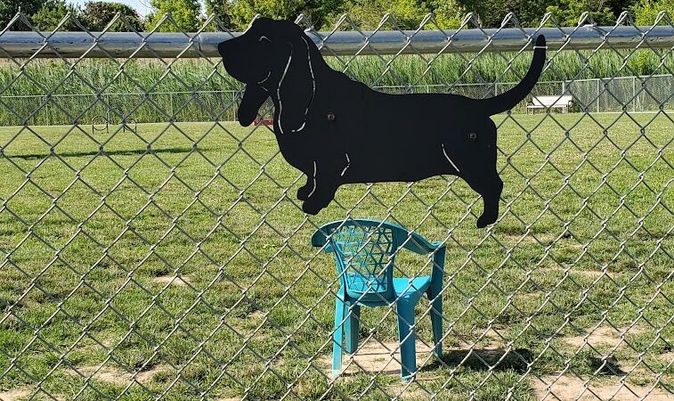 Little Creek Dog Park - Dover, DE