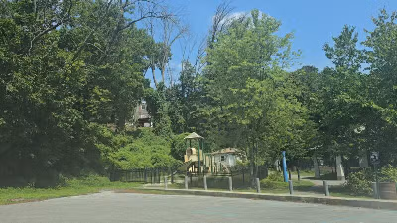 Kent Dog Park - Drexel Hill, PA