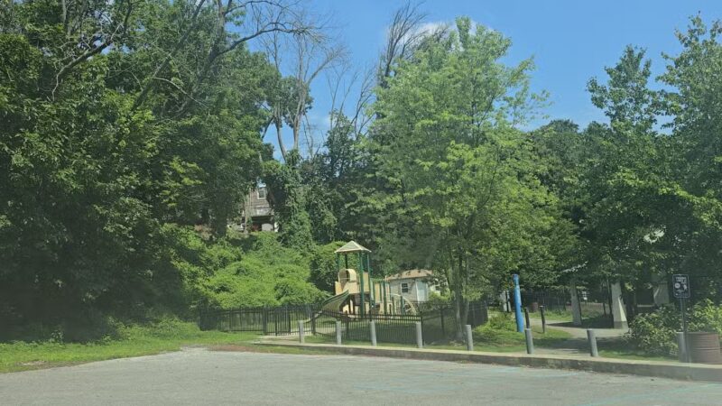 Kent Dog Park - Drexel Hill, PA