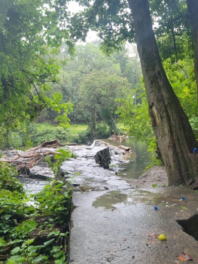 Kent Dog Park - Drexel Hill, PA