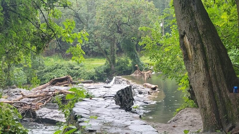 Kent Dog Park - Drexel Hill, PA