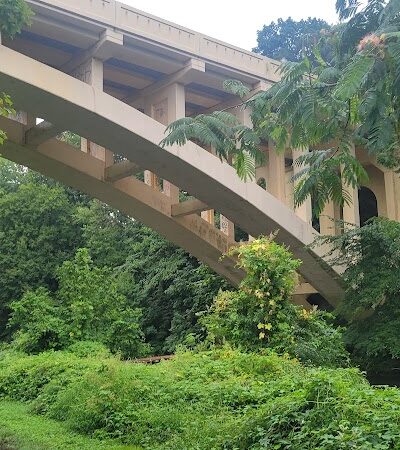 Kent Dog Park - Drexel Hill, PA