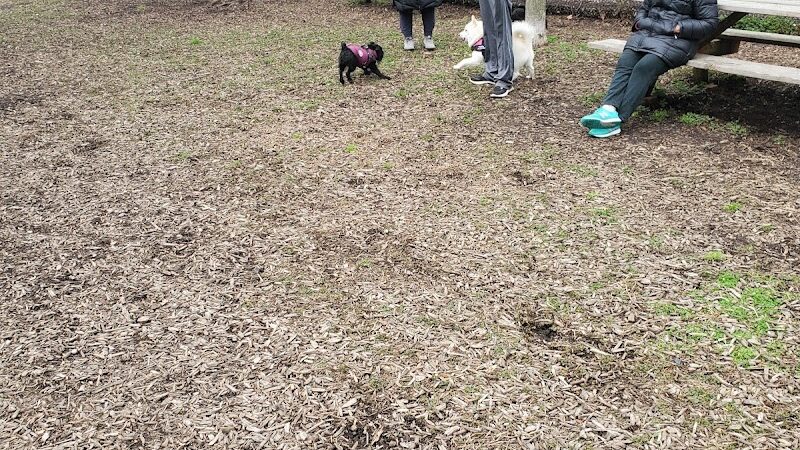 Kent Dog Park - Drexel Hill, PA