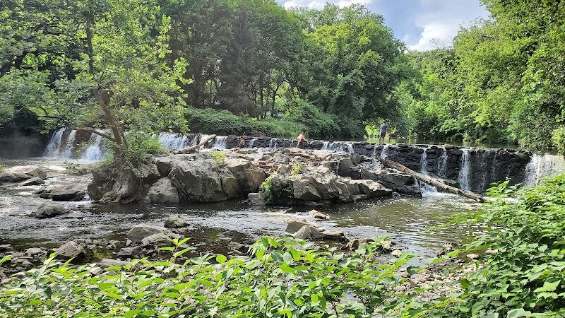 Kent Dog Park - Drexel Hill, PA