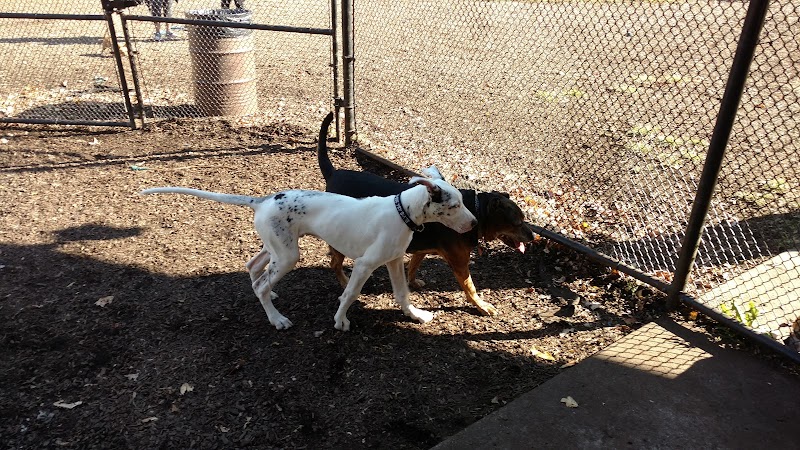 Kent Dog Park - Drexel Hill, PA