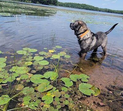 Drummond Community Park - Drummond, WI